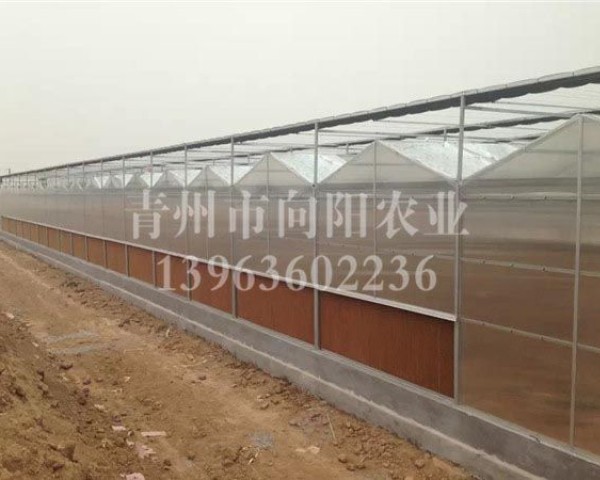 PC陽(yáng)光板溫室