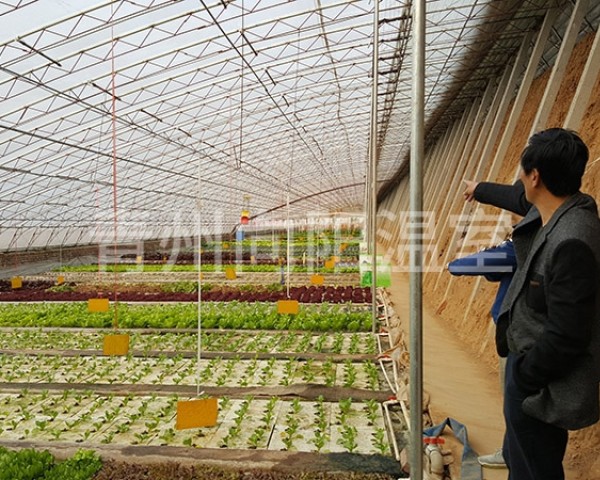 蔬菜大棚